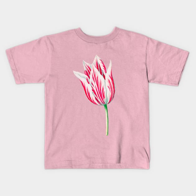 Red and White Dutch Tulip Watercolor Kids T-Shirt by terrybain